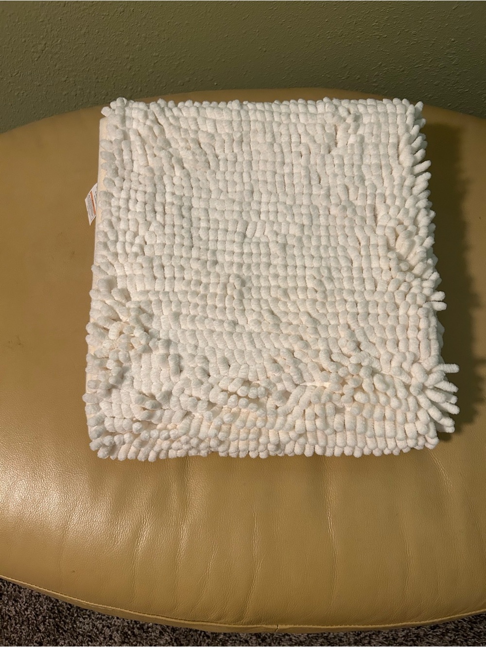 Muddy Mat rug for pet’s dirty paws anywhere in your home.